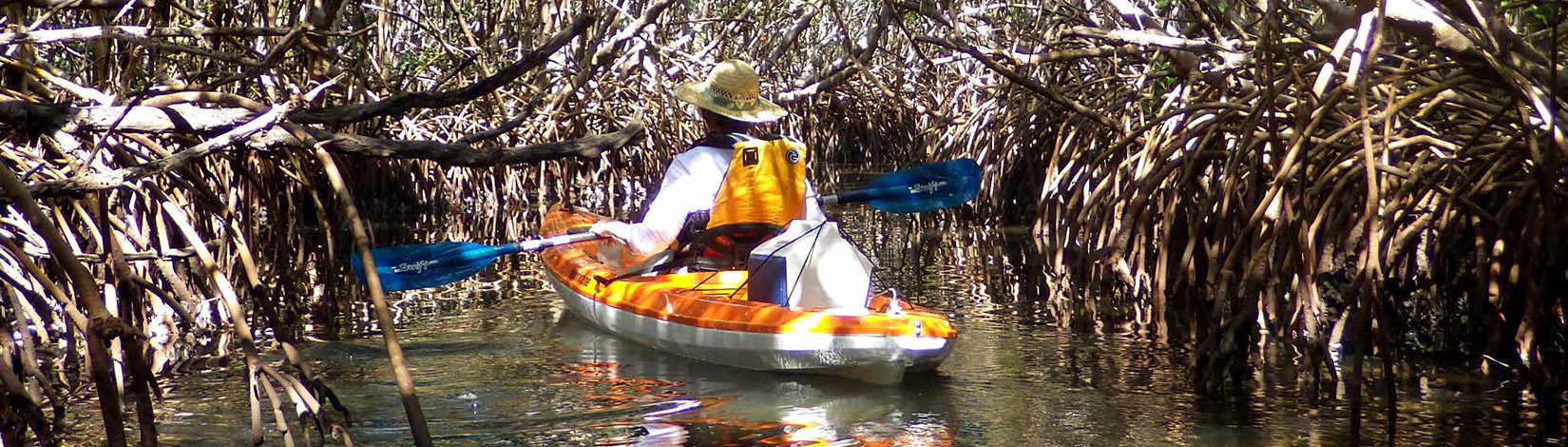photo of a woman kayaking in a wetland