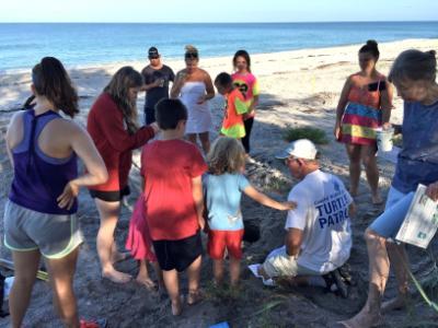 photo of people locating eggs in Loggerhead nest