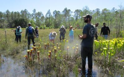 Photo of people looking at a Pitcher plant